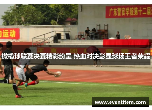 橄榄球联赛决赛精彩纷呈 热血对决彰显球场王者荣耀