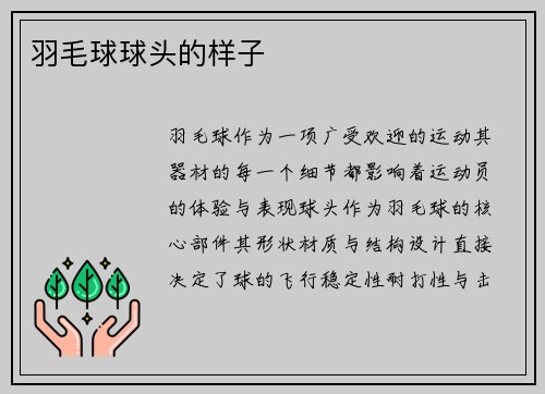 羽毛球球头的样子